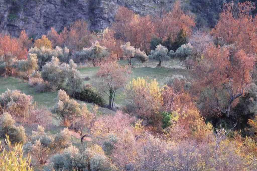 Villa Casa Carmela, Rural House With Spectacular Views, In An Exquisite Area à Atalbeitar Extérieur photo