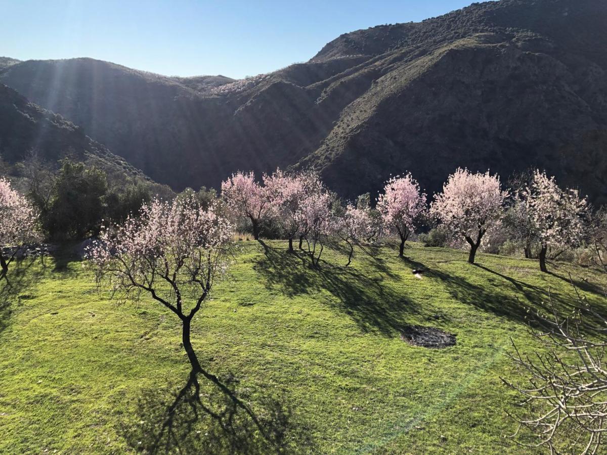 Villa Casa Carmela, Rural House With Spectacular Views, In An Exquisite Area à Atalbeitar Extérieur photo