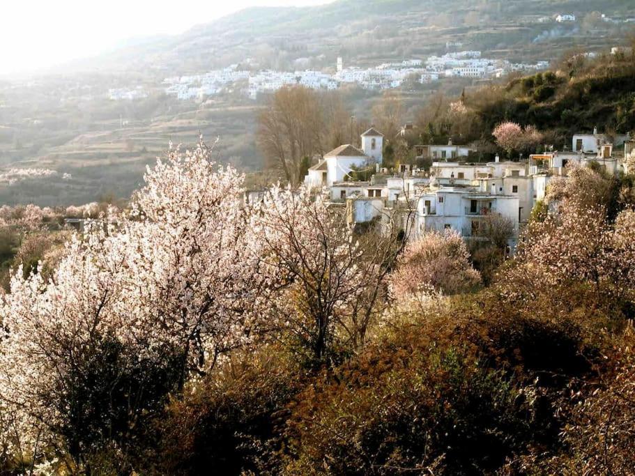 Villa Casa Carmela, Rural House With Spectacular Views, In An Exquisite Area à Atalbeitar Extérieur photo