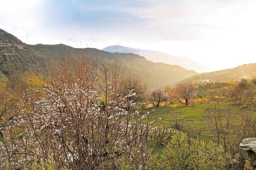 Villa Casa Carmela, Rural House With Spectacular Views, In An Exquisite Area à Atalbeitar Extérieur photo