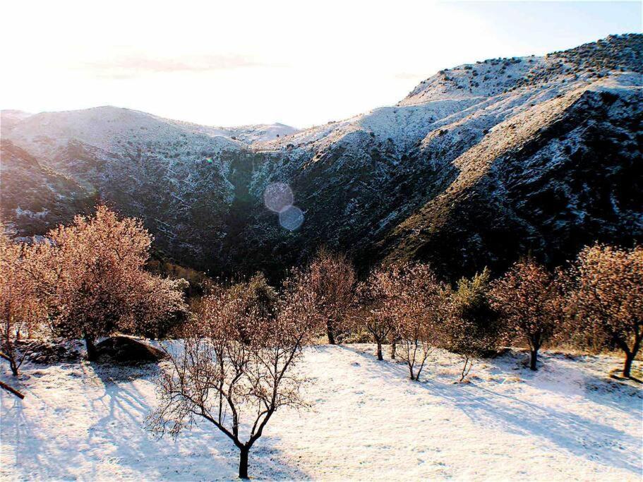 Villa Casa Carmela, Rural House With Spectacular Views, In An Exquisite Area à Atalbeitar Extérieur photo
