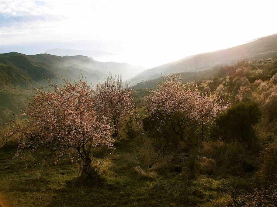 Villa Casa Carmela, Rural House With Spectacular Views, In An Exquisite Area à Atalbeitar Extérieur photo