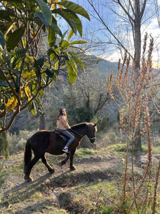 Villa Casa Carmela, Rural House With Spectacular Views, In An Exquisite Area à Atalbeitar Extérieur photo